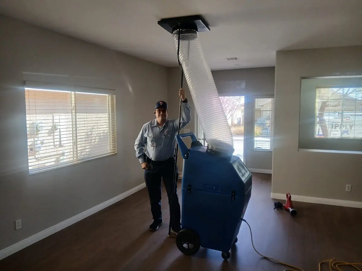 Professional Dryer Vent Cleaning work inside a Ingleside home